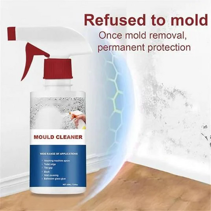 Deodorizing & Purifying Household Cleaning Foam Spray