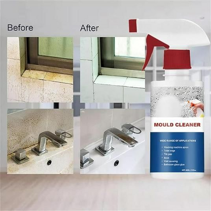 Deodorizing & Purifying Household Cleaning Foam Spray