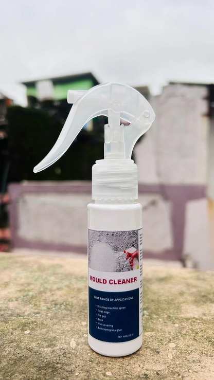 Deodorizing & Purifying Household Cleaning Foam Spray