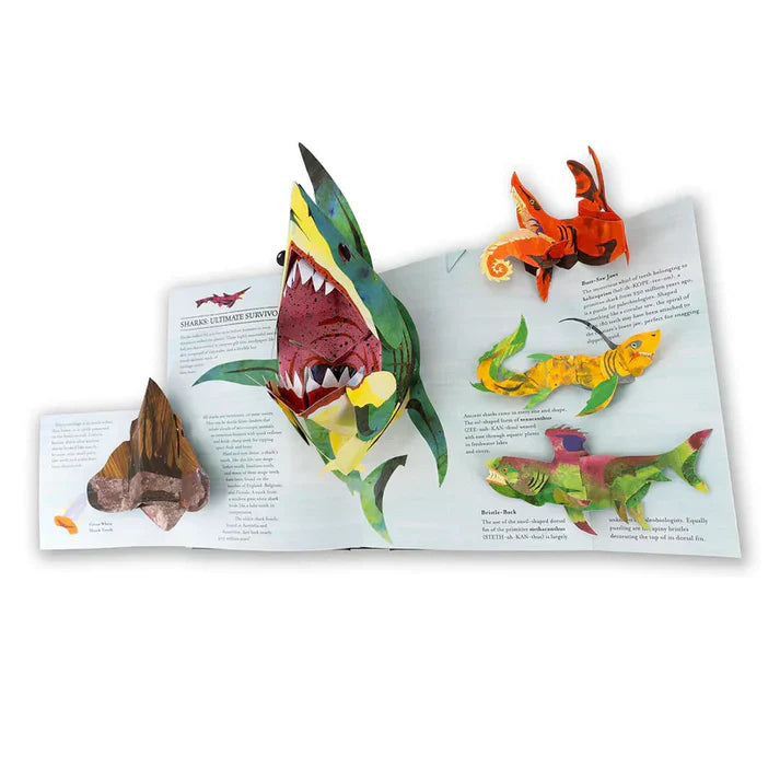 🦖3D Encyclopedia Prehistorica Dinosaurs-Ignite Kids' Intellectual Enlightenment Journey!Christmas Gift for Kids! 📚