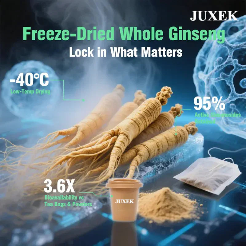 Juxek Men's Focus Energy Tea - Freeze-Dried Pure Ginseng Tea for Immune Support & Mental Stamina